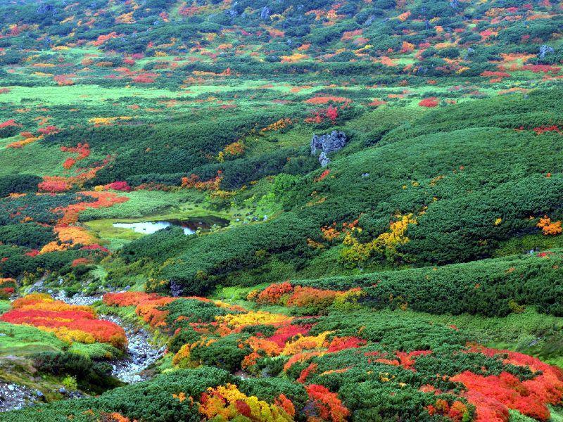 Asahidake Yumoto Yukomanso Higashikawa Ngoại thất bức ảnh